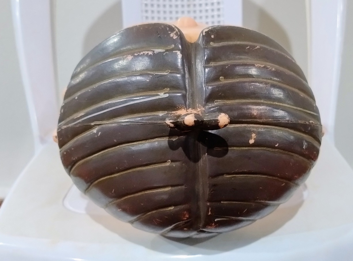 Mônica antiga de plástico 30cm - Imagem 6