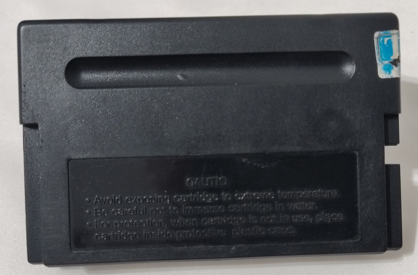 Dinoland MD - Imagem 3