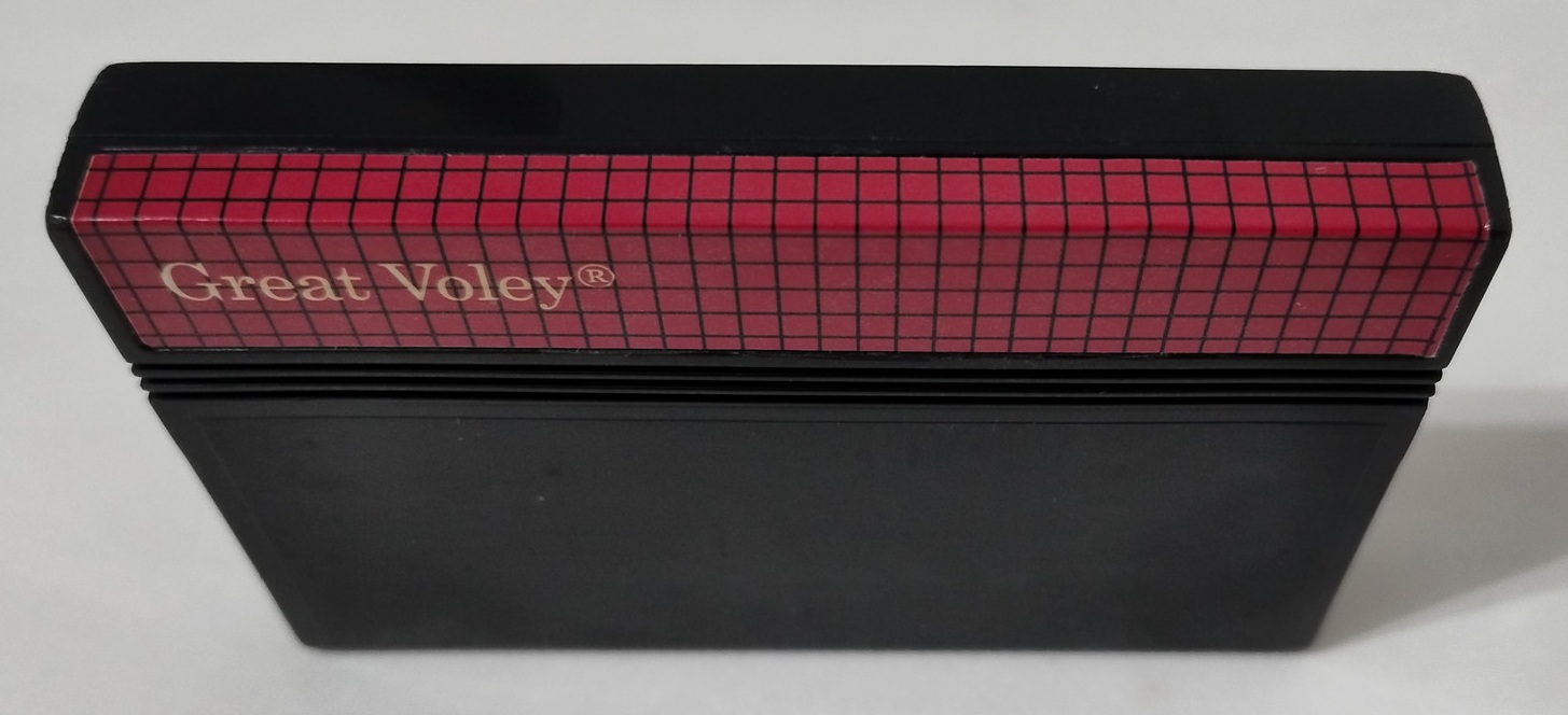 Great Voley MS - Imagem 2